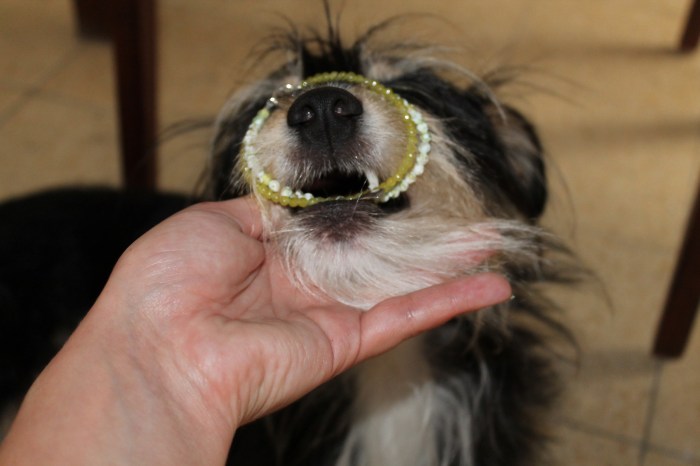 9049560879_4d6ed2720b_k