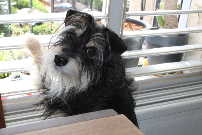 9051578908_08f49cee6e_k