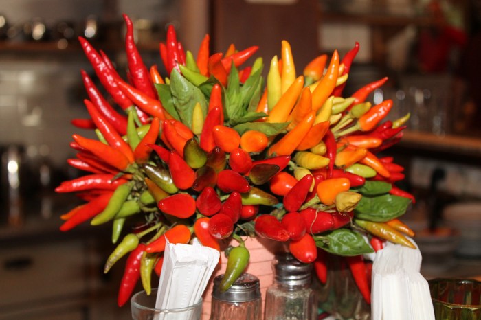 miss juve - jaffa flea market 6