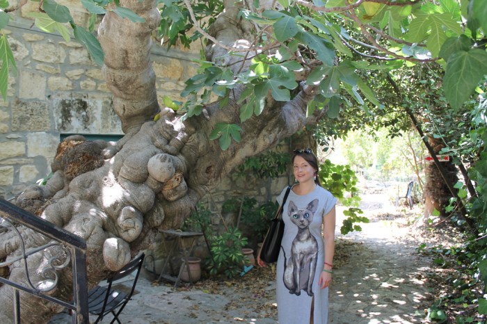 missjuve_ein_karem_17