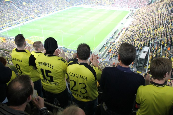 ams_bvb_2013_ 571