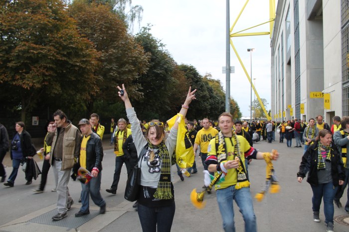 ams_bvb_2013_ 917