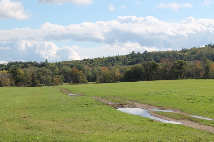 North Coway Part 1_18