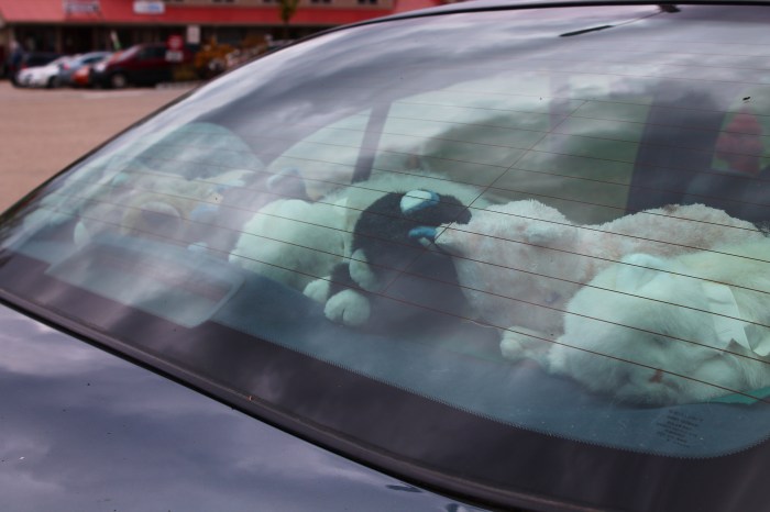 North Coway Part 1_31