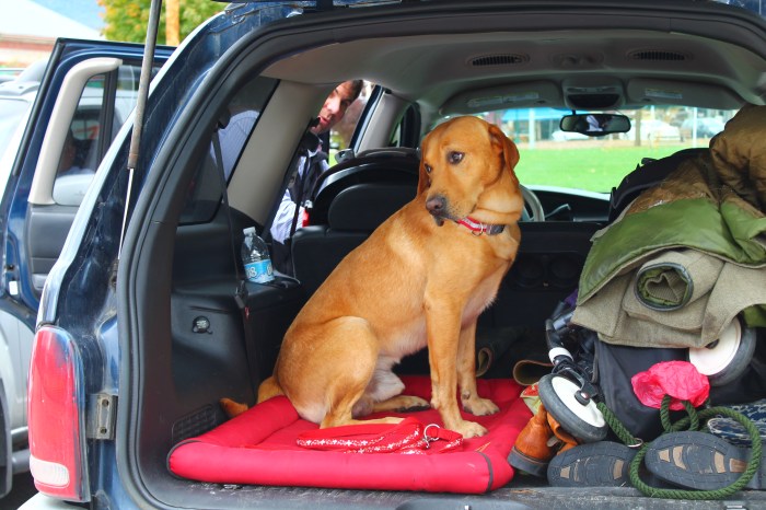 North Coway Part 1_29