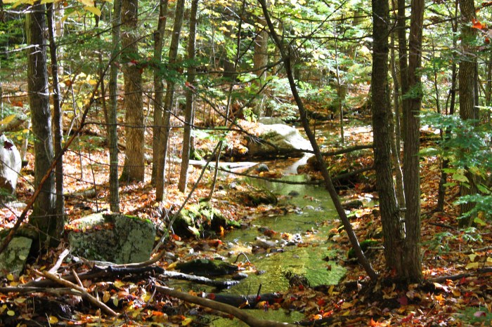 NorthConwayNH_part9_3