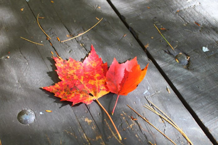 NorthConwayNH_part9_17