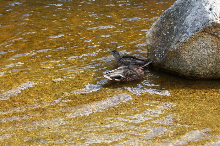 NorthConwayNH_part9_22