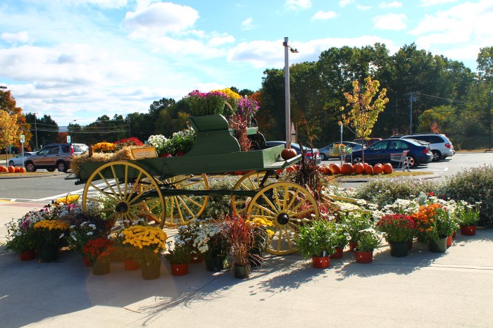 Miss Juve - Atkins Farms - Part 2