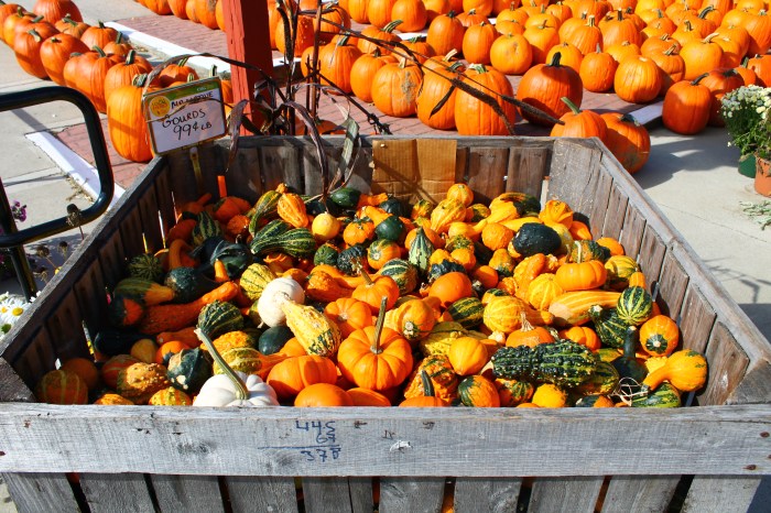 Miss Juve - Atkins Farms - Part 3