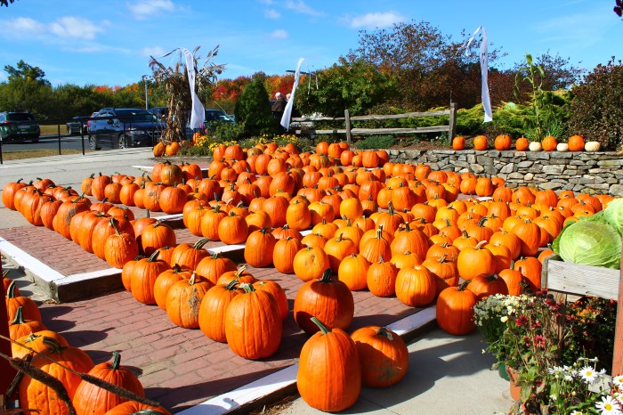 Miss Juve - Atkins Farms - Part 4