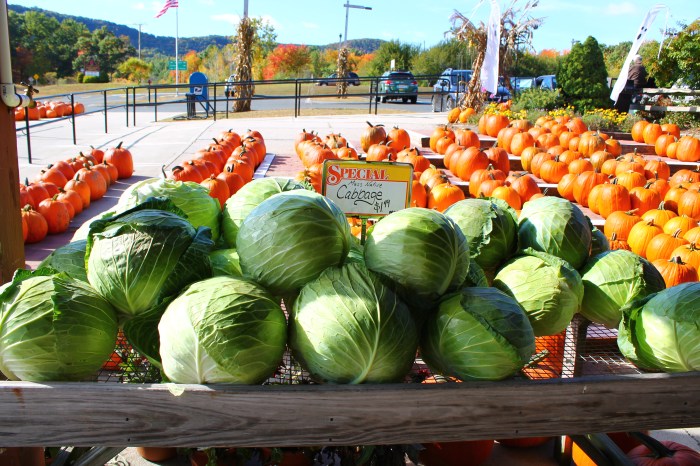 Miss Juve - Atkins Farms - Part 5