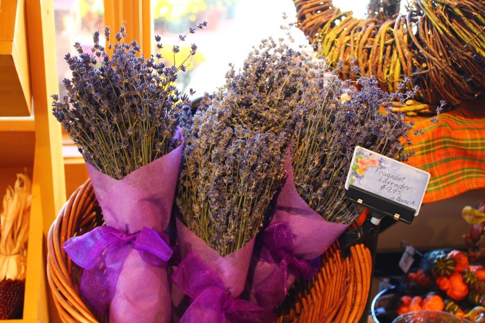 Miss Juve - Atkins Farms - Part 10