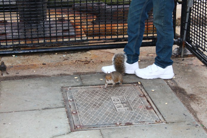 NYC_MissJuve_Part_11_4