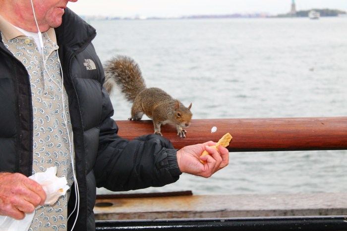 NYC_MissJuve_Part_11_5