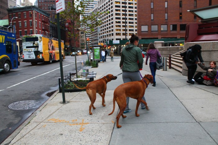 NYC_MissJuve_Part_11_9