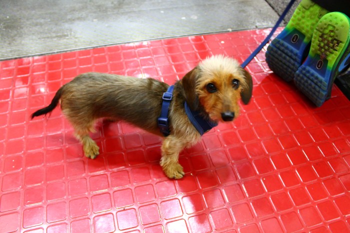 NYC_MissJuve_Part_11_16