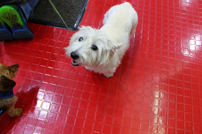 NYC_MissJuve_Part_11_17